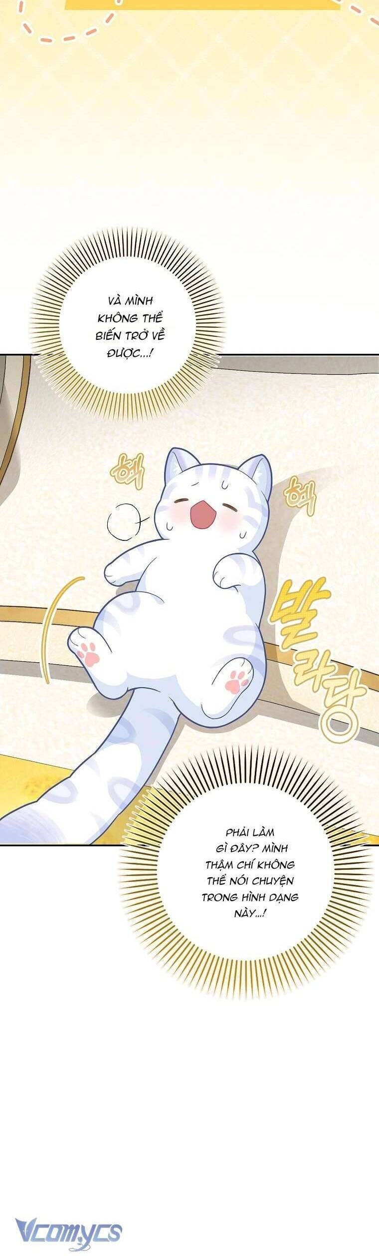 Bé Con Báo Tuyết Của Gia Tộc Báo Đen - Chap 21 - Trang 18