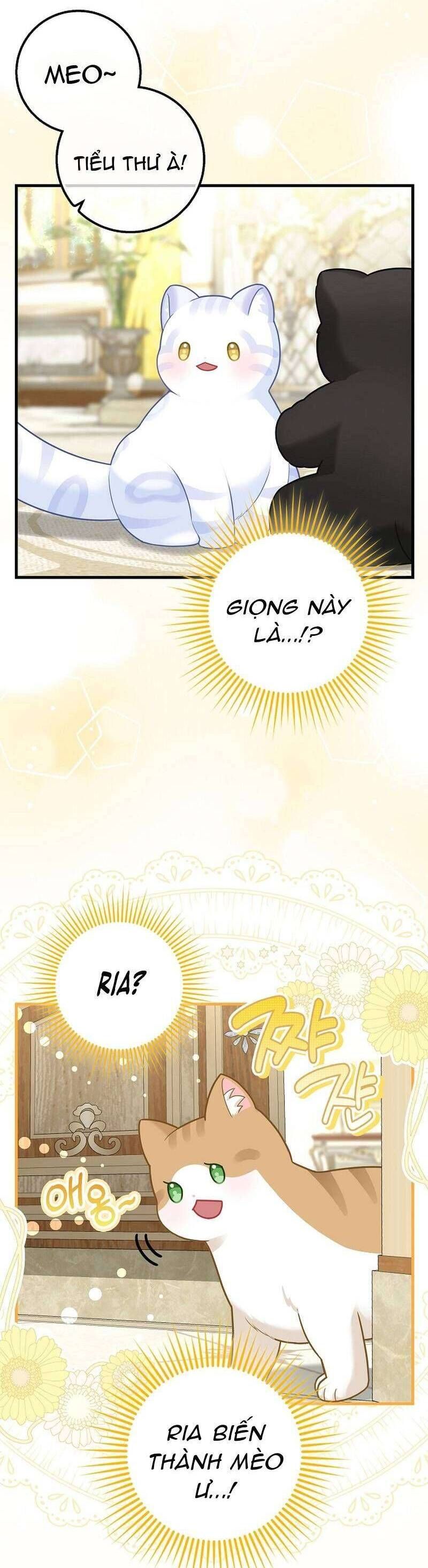 Bé Con Báo Tuyết Của Gia Tộc Báo Đen - Chap 26 - Trang 2