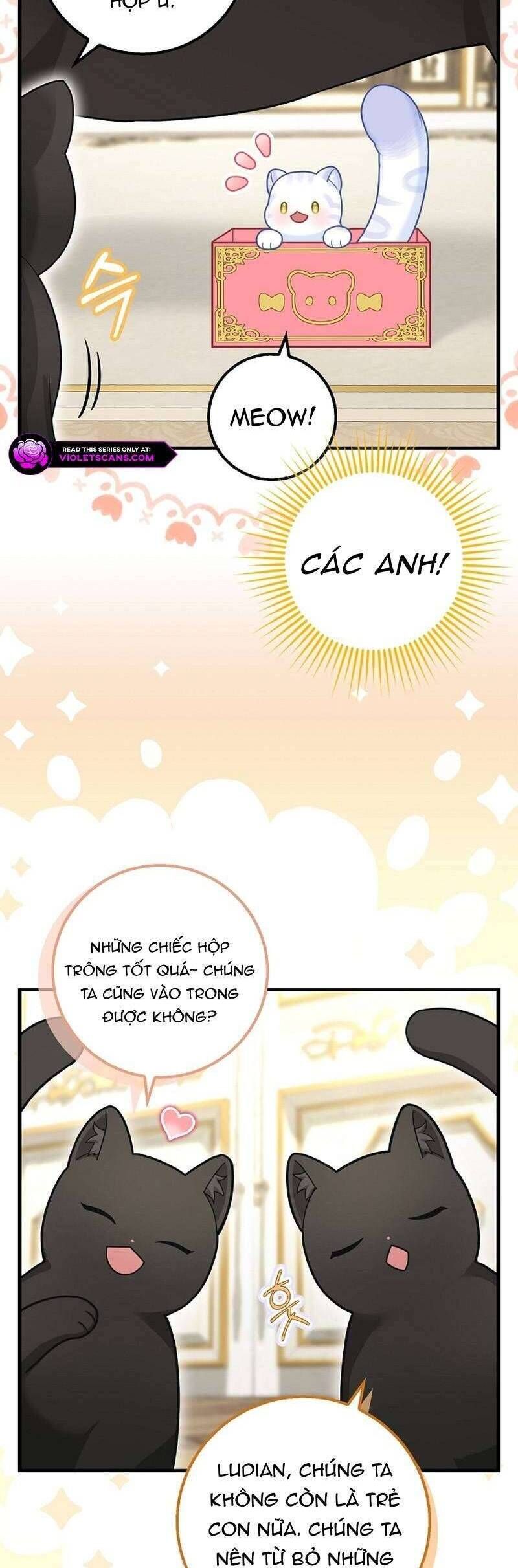 Bé Con Báo Tuyết Của Gia Tộc Báo Đen - Chap 26 - Trang 7