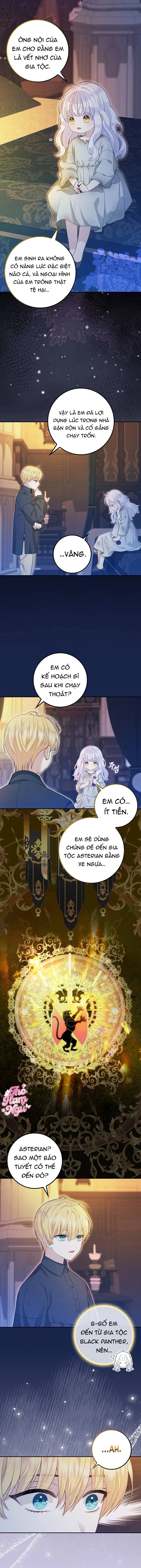 Bé Con Báo Tuyết Của Gia Tộc Báo Đen - Chap 3 - Trang 7