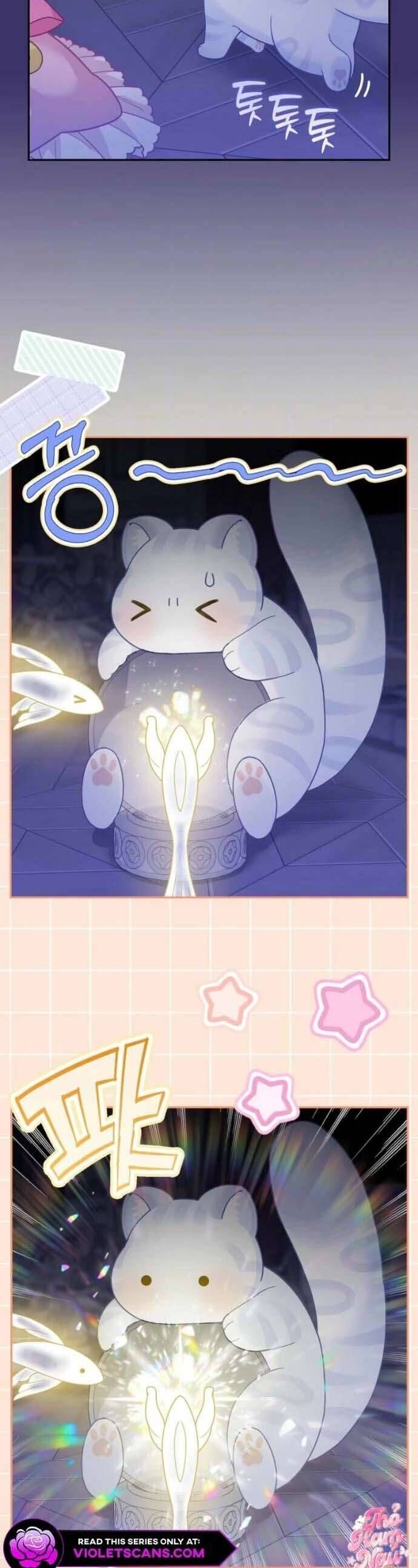Bé Con Báo Tuyết Của Gia Tộc Báo Đen - Chap 41 - Trang 29