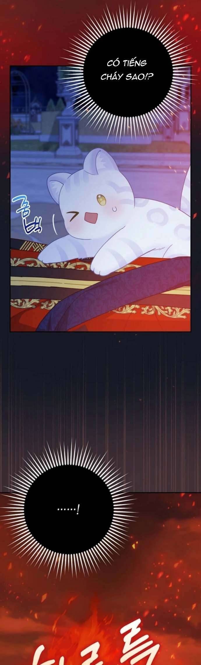 Bé Con Báo Tuyết Của Gia Tộc Báo Đen - Chap 41 - Trang 10