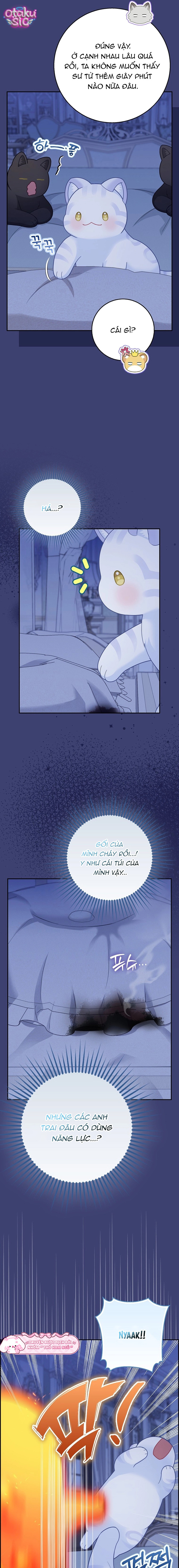 Bé Con Báo Tuyết Của Gia Tộc Báo Đen - Chap 65 - Trang 20