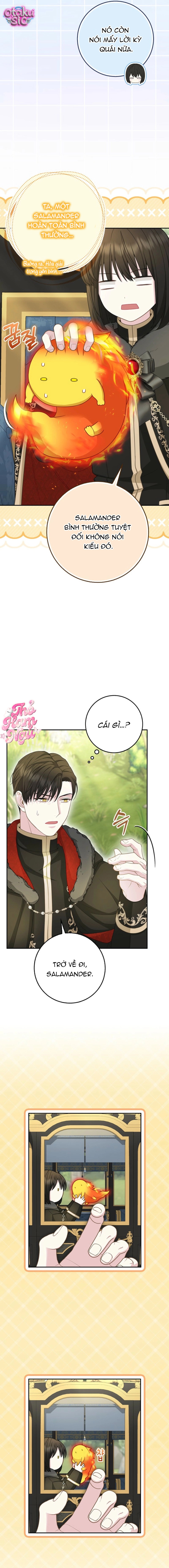 Bé Con Báo Tuyết Của Gia Tộc Báo Đen - Chap 66 - Trang 14