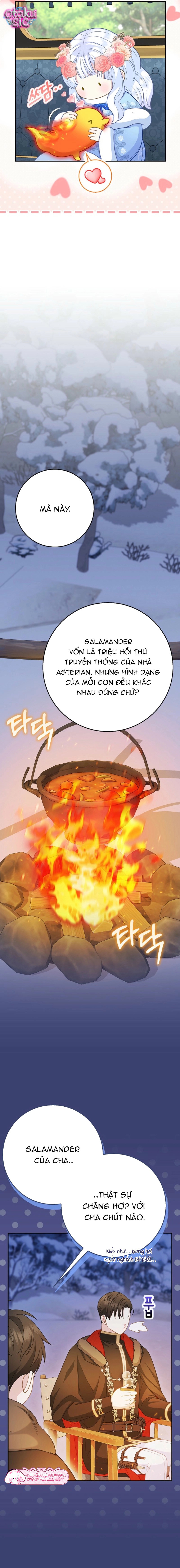 Bé Con Báo Tuyết Của Gia Tộc Báo Đen - Chap 66 - Trang 16