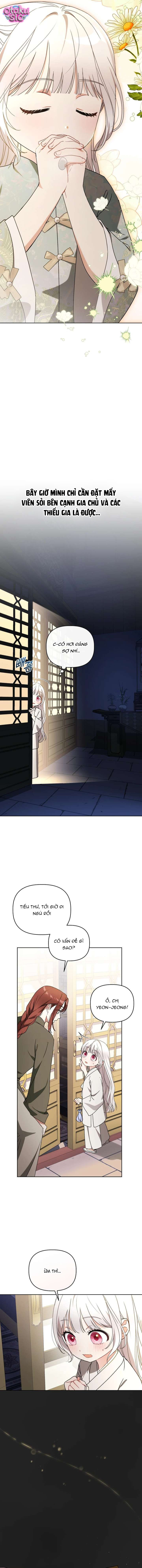 Bé Cưng Bông Xù Nhà Bạch Hổ - Chap 11 - Trang 11