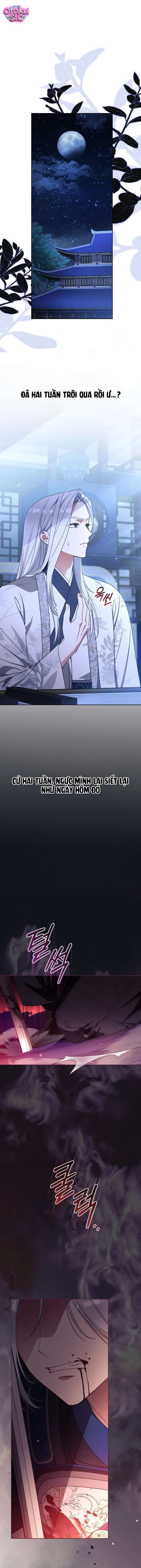 Bé Cưng Bông Xù Nhà Bạch Hổ - Chap 11 - Trang 3