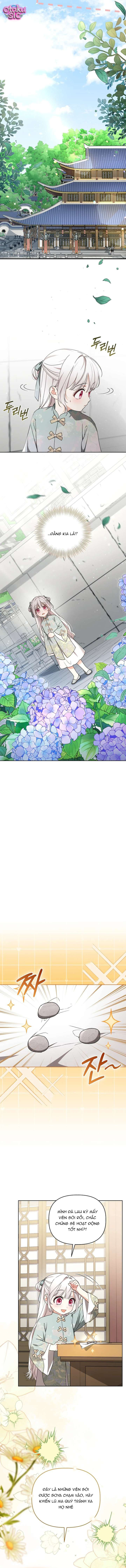 Bé Cưng Bông Xù Nhà Bạch Hổ - Chap 11 - Trang 10
