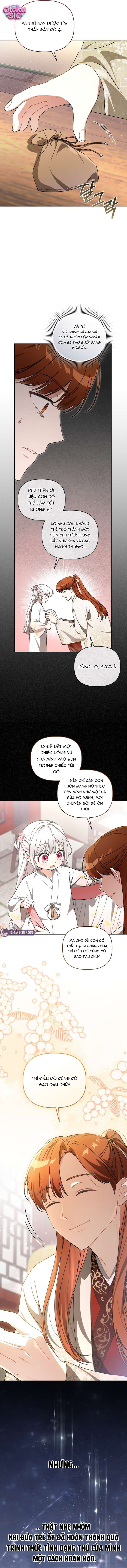 Bé Cưng Bông Xù Nhà Bạch Hổ - Chap 12 - Trang 17