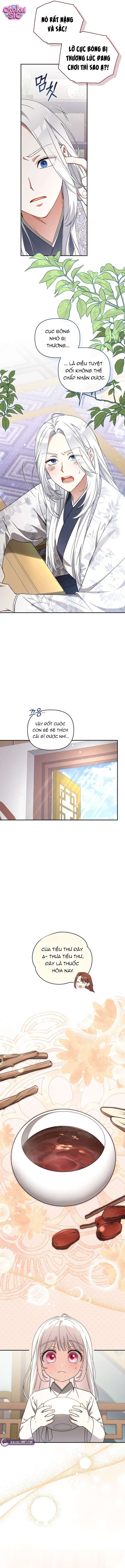 Bé Cưng Bông Xù Nhà Bạch Hổ - Chap 12 - Trang 9