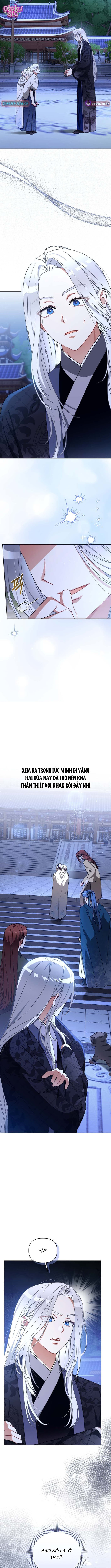 Bé Cưng Bông Xù Nhà Bạch Hổ - Chap 19 - Trang 12