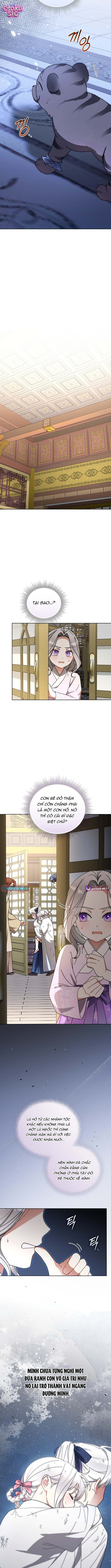 Bé Cưng Bông Xù Nhà Bạch Hổ - Chap 19 - Trang 13