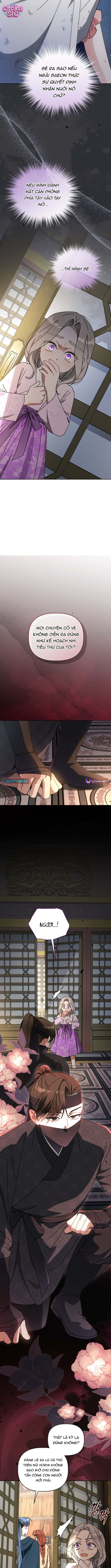Bé Cưng Bông Xù Nhà Bạch Hổ - Chap 19 - Trang 14