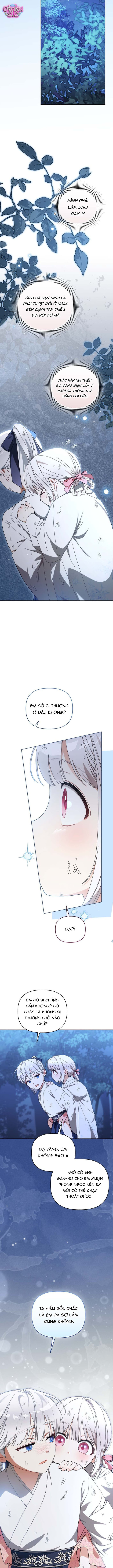 Bé Cưng Bông Xù Nhà Bạch Hổ - Chap 19 - Trang 7
