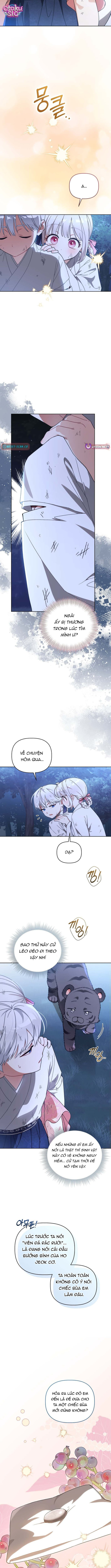 Bé Cưng Bông Xù Nhà Bạch Hổ - Chap 19 - Trang 8