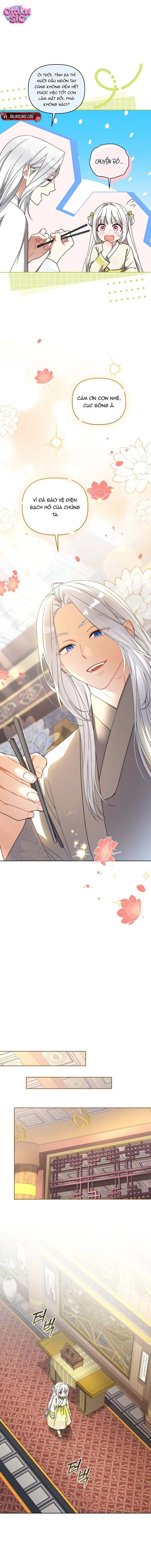 Bé Cưng Bông Xù Nhà Bạch Hổ - Chap 21 - Trang 9