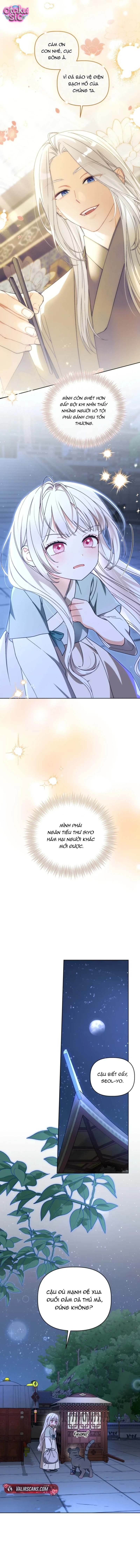 Bé Cưng Bông Xù Nhà Bạch Hổ - Chap 22 - Trang 5