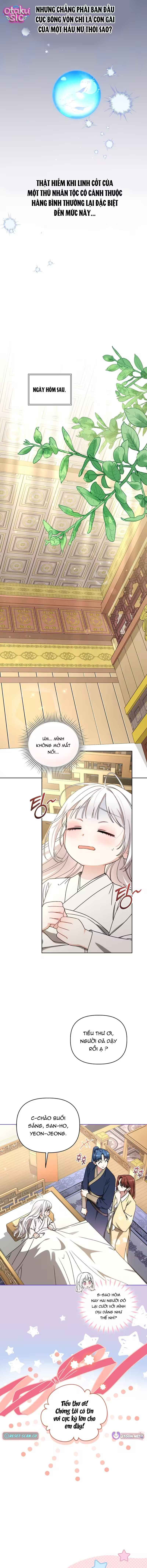 Bé Cưng Bông Xù Nhà Bạch Hổ - Chap 24 - Trang 16