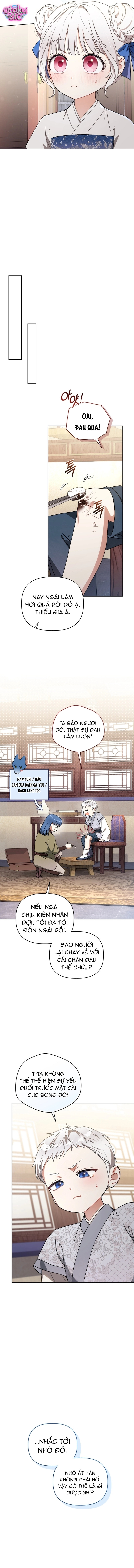 Bé Cưng Bông Xù Nhà Bạch Hổ - Chap 7 - Trang 13