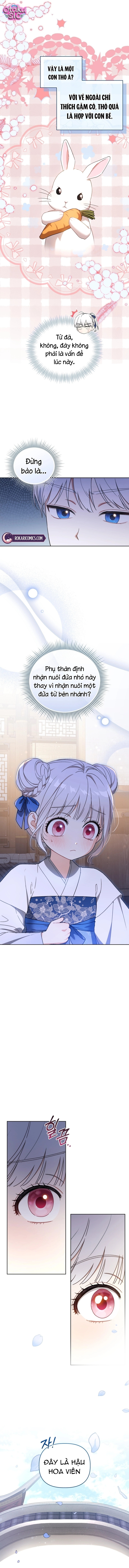 Bé Cưng Bông Xù Nhà Bạch Hổ - Chap 7 - Trang 5