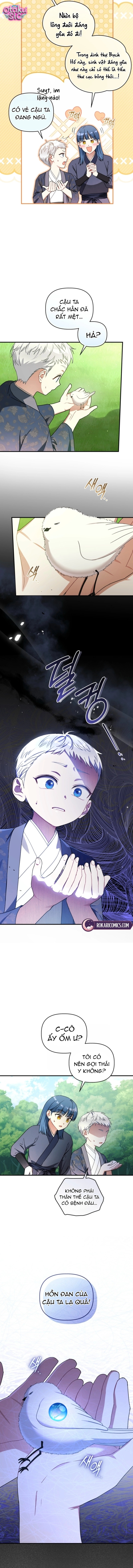 Bé Cưng Bông Xù Nhà Bạch Hổ - Chap 8 - Trang 11