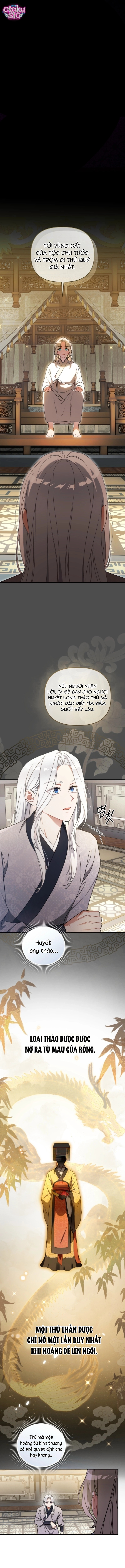 Bé Cưng Bông Xù Nhà Bạch Hổ - Chap 8 - Trang 3