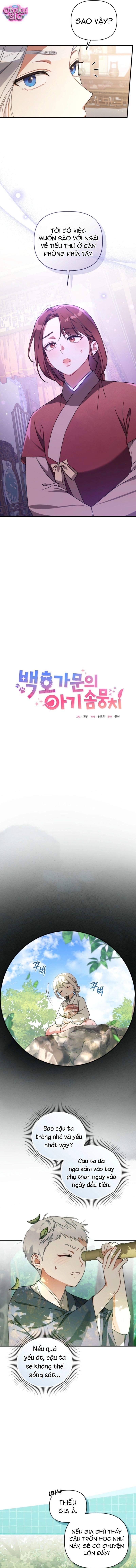 Bé Cưng Bông Xù Nhà Bạch Hổ - Chap 8 - Trang 8