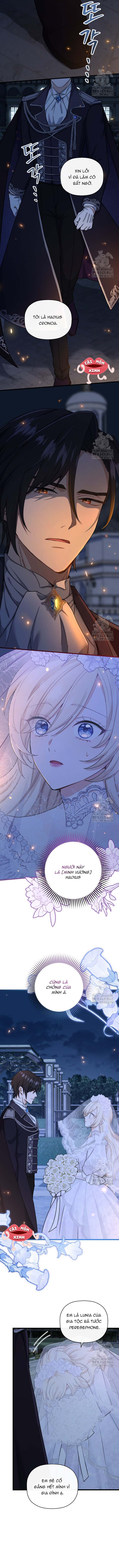 Bệ Hạ, Xin Hãy Quên Tôi Đi - Chap 1 - Trang 9