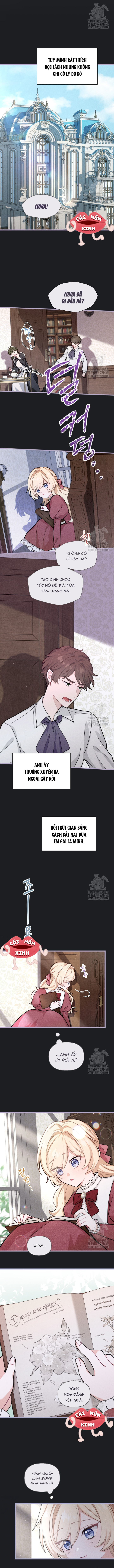 Bệ Hạ, Xin Hãy Quên Tôi Đi - Chap 10 - Trang 6