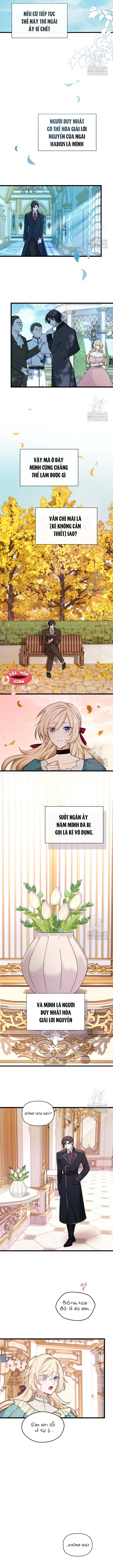 Bệ Hạ, Xin Hãy Quên Tôi Đi - Chap 2 - Trang 4