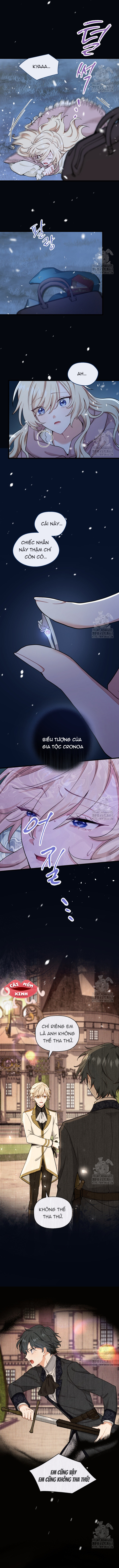 Bệ Hạ, Xin Hãy Quên Tôi Đi - Chap 3 - Trang 3