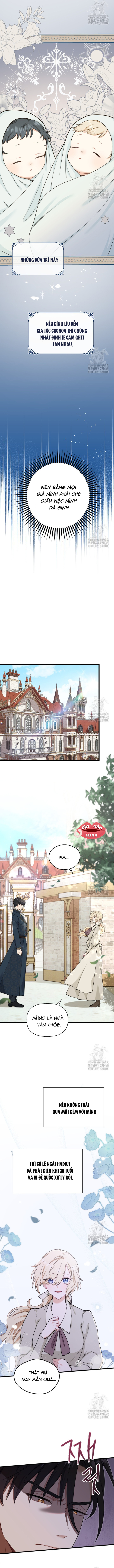 Bệ Hạ, Xin Hãy Quên Tôi Đi - Chap 3 - Trang 5