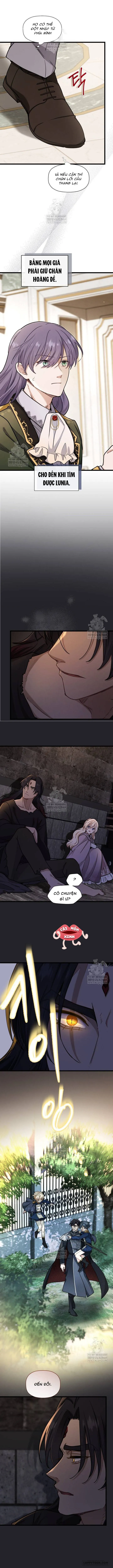 Bệ Hạ, Xin Hãy Quên Tôi Đi - Chap 53 - Trang 8