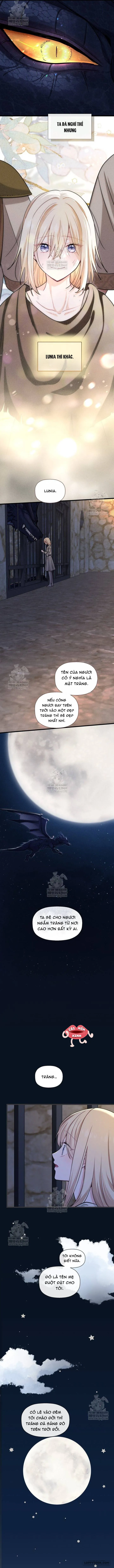 Bệ Hạ, Xin Hãy Quên Tôi Đi - Chap 54 - Trang 5