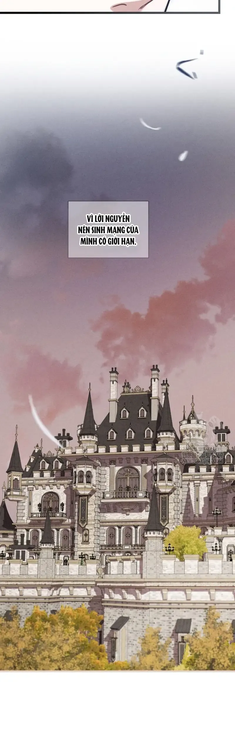 Bệ Hạ, Xin Hãy Quên Tôi Đi - Chap 70 - Trang 16