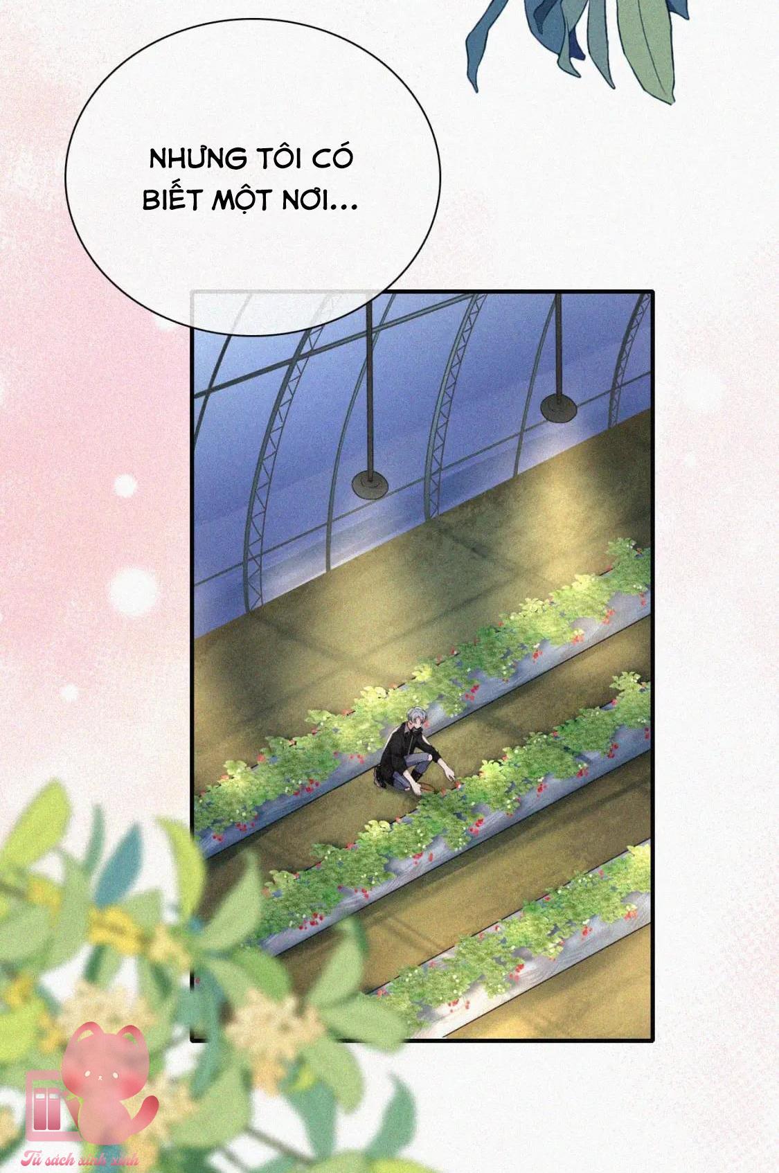 Bệnh Yêu - Chap 38 - Trang 16