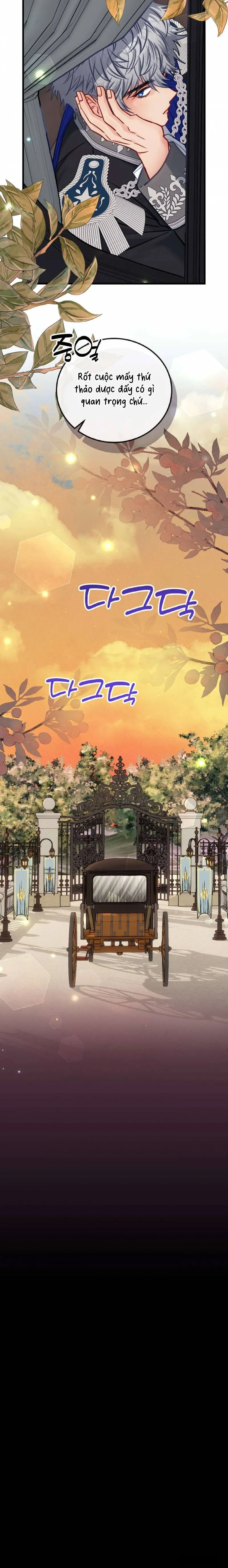 Bị Mắc Kẹt Trong Trò Chơi Harem Ngược Vô Vọng - Chap 44 - Trang 12