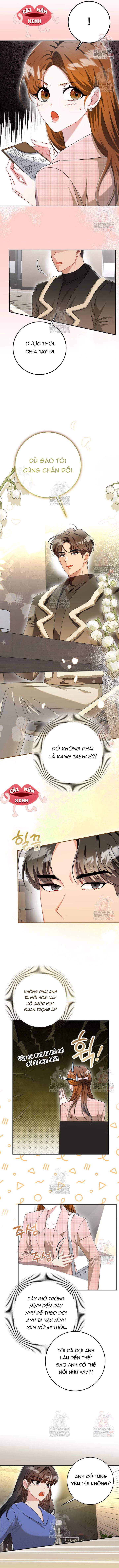 Bí Mật Của Người Đàn Ông Hoàn Hảo - Chap 1 - Trang 12