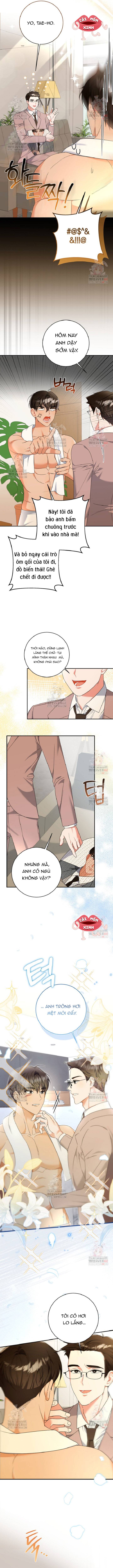 Bí Mật Của Người Đàn Ông Hoàn Hảo - Chap 6 - Trang 3
