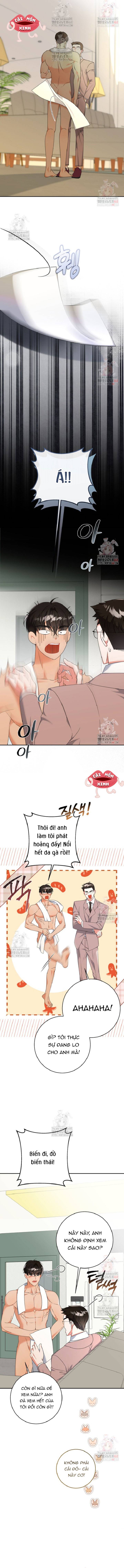 Bí Mật Của Người Đàn Ông Hoàn Hảo - Chap 6 - Trang 4