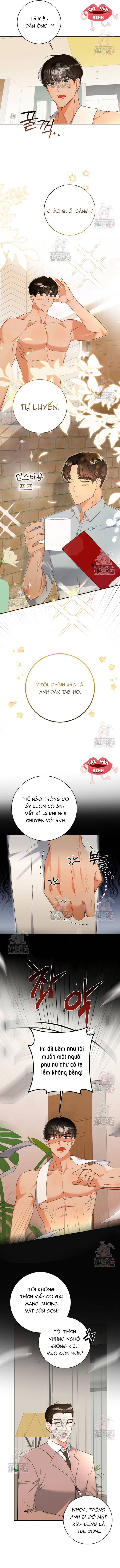 Bí Mật Của Người Đàn Ông Hoàn Hảo - Chap 6 - Trang 8