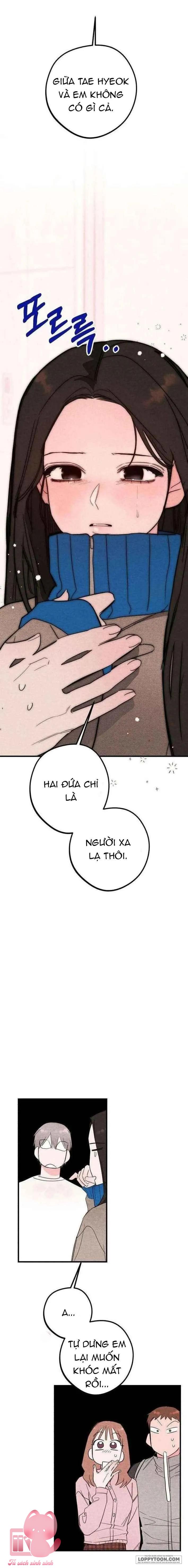 Bí Mật Của Tiền Bối Hoàn Hảo - Chap 5 - Trang 12
