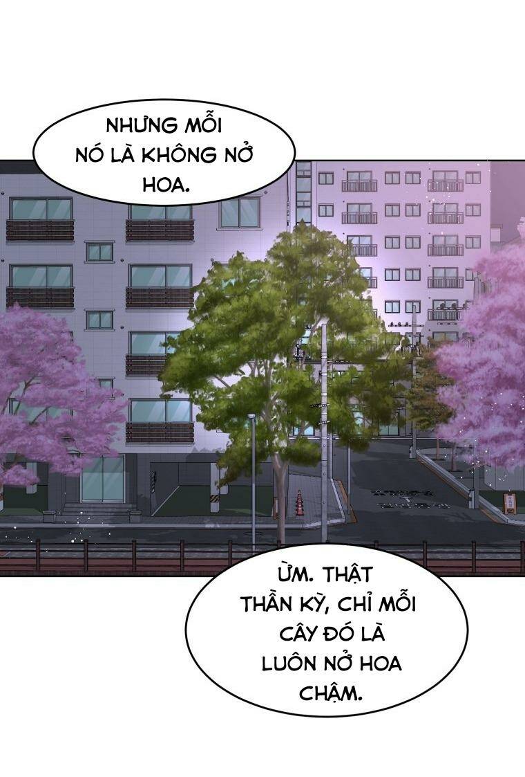 Bí Mật Highteen - Chap 15 - Trang 61