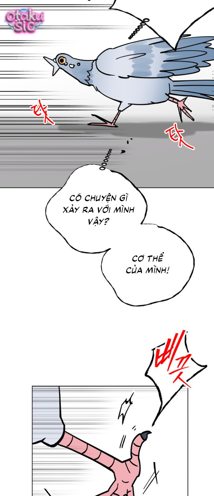 Bồ Câu Lee Heon-Seo Của Quận Seongbuk - Chap 1 - Trang 41