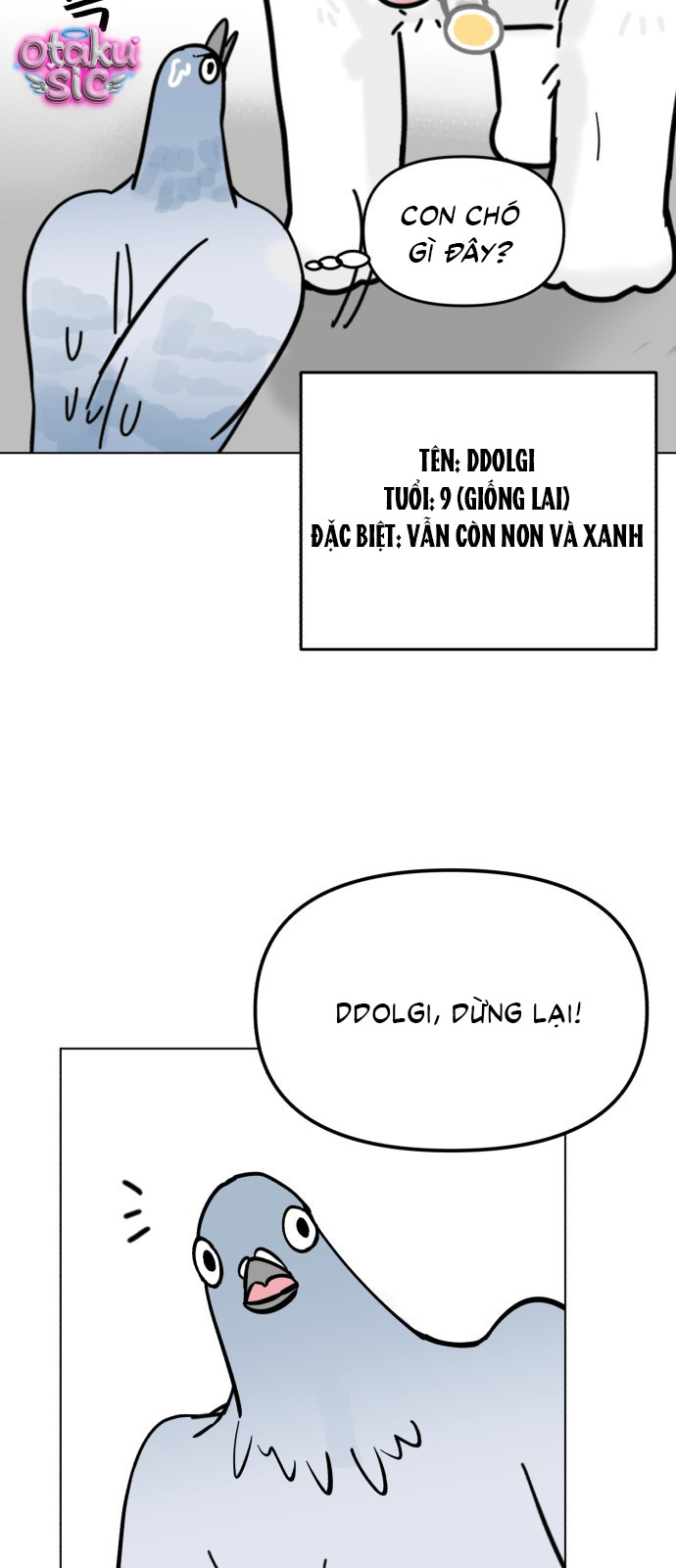 Bồ Câu Lee Heon-Seo Của Quận Seongbuk - Chap 1 - Trang 55