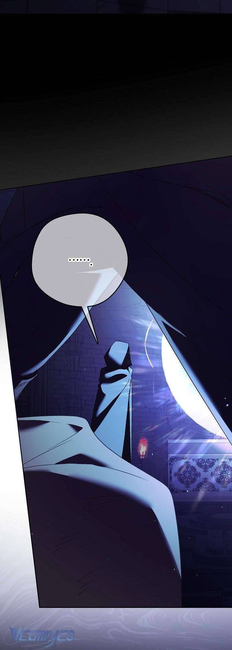 Các Nam Chính Đã Bị Nữ Phụ Cướp Mất - Chap 12 - Trang 9