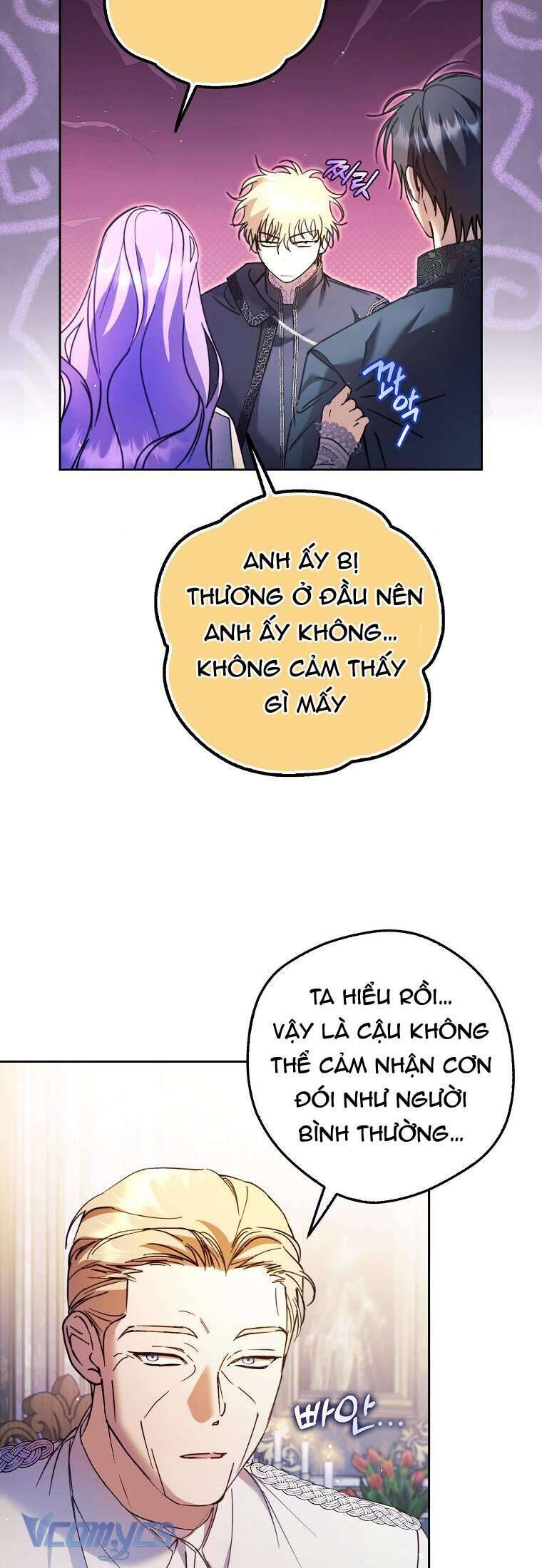 Các Nam Chính Đã Bị Nữ Phụ Cướp Mất - Chap 19 - Trang 13