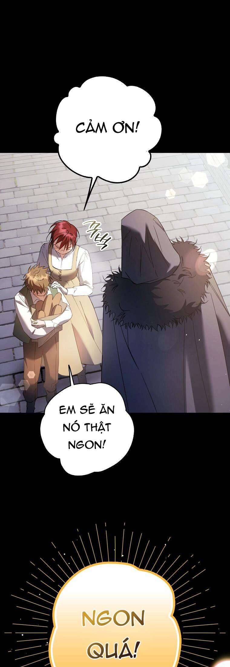 Các Nam Chính Đã Bị Nữ Phụ Cướp Mất - Chap 19 - Trang 23
