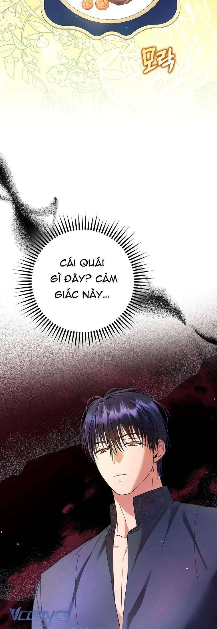 Các Nam Chính Đã Bị Nữ Phụ Cướp Mất - Chap 19 - Trang 31