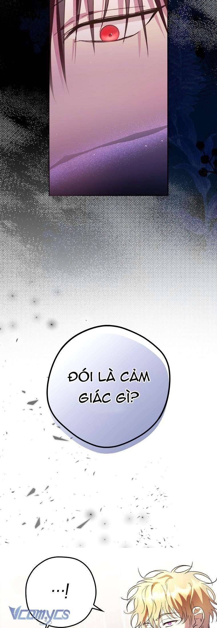 Các Nam Chính Đã Bị Nữ Phụ Cướp Mất - Chap 19 - Trang 10